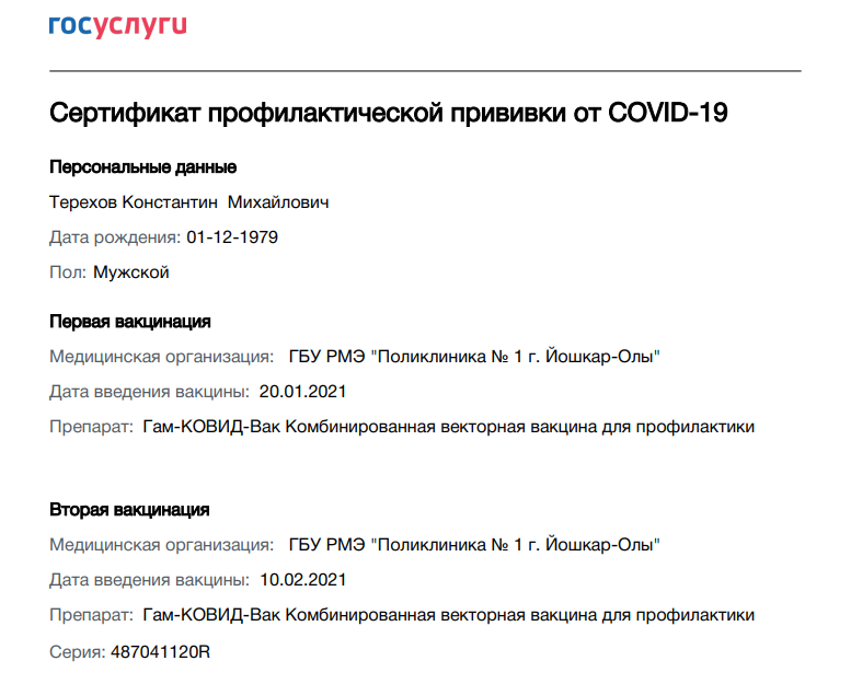 Верхняя часть электронного сертификата на портале Госуслуг. Источник: potokmedia.ru