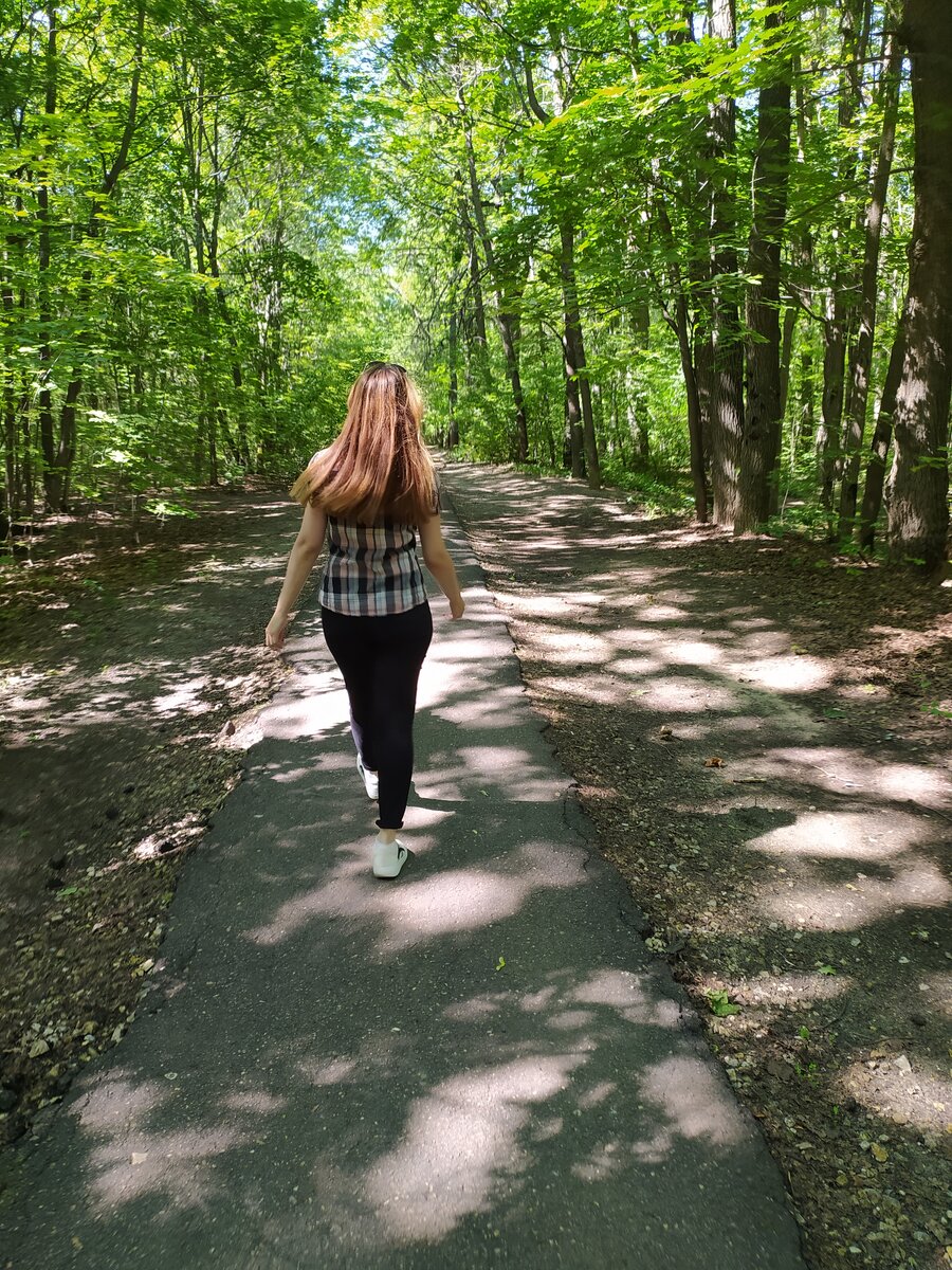 Тропинка, можно также прогуляться по ней