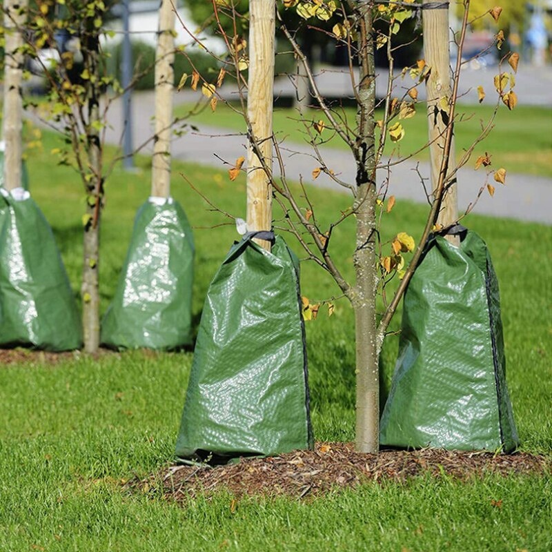 Садовые деревья