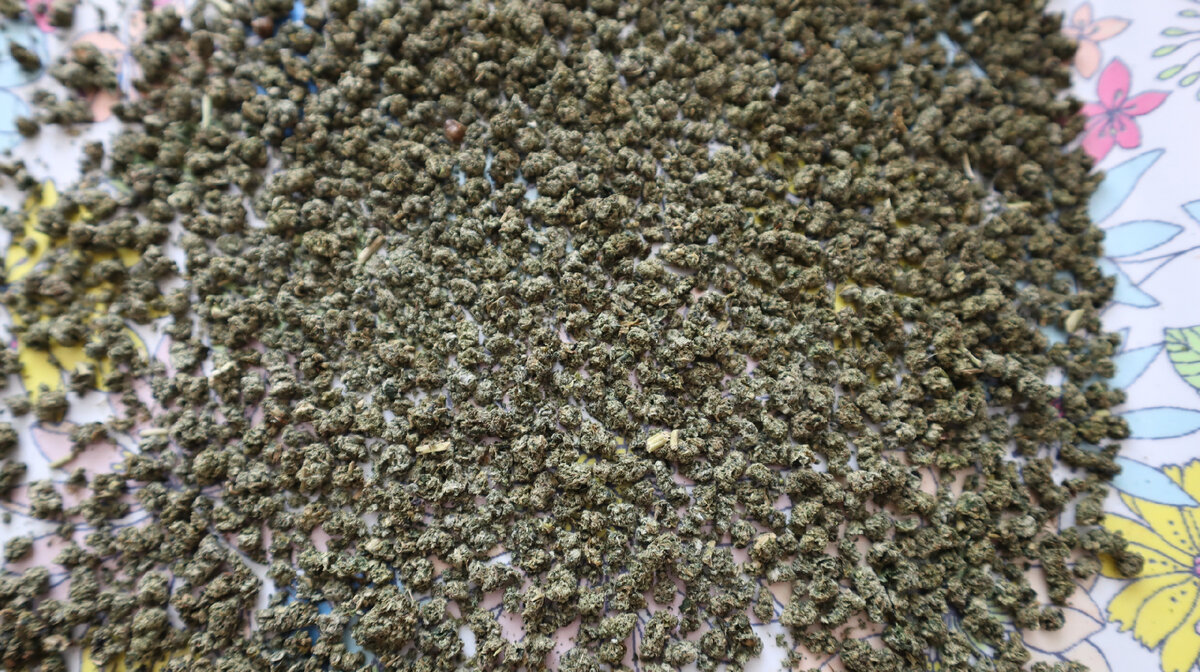 �������� ������