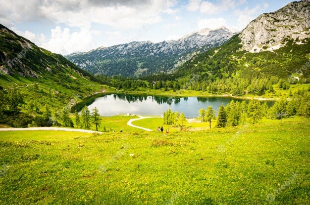 Из свободного источника Интернет