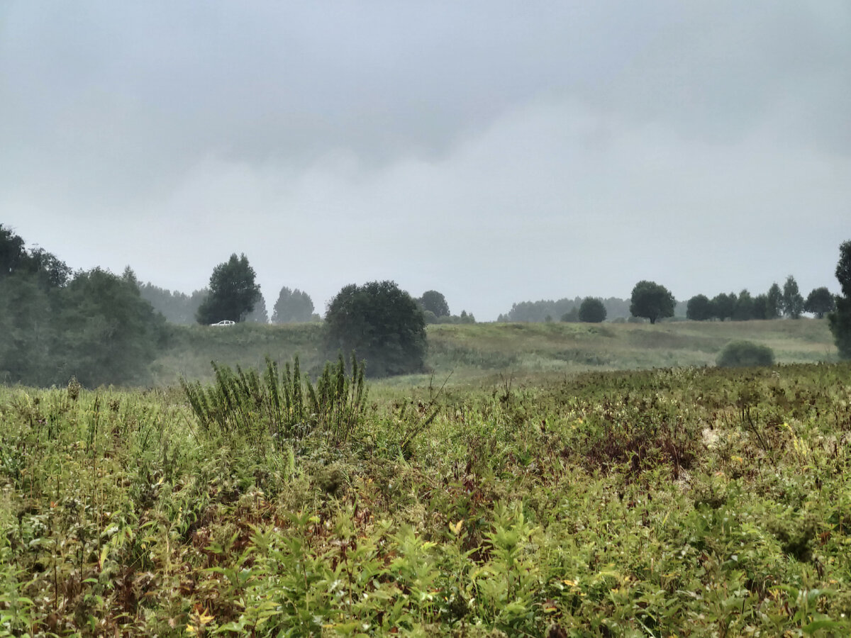 На рыбалку. 