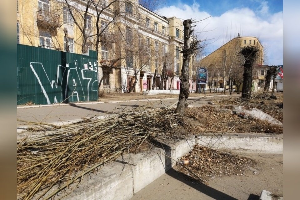 Фото предоставленго Андреем Дехтяруком