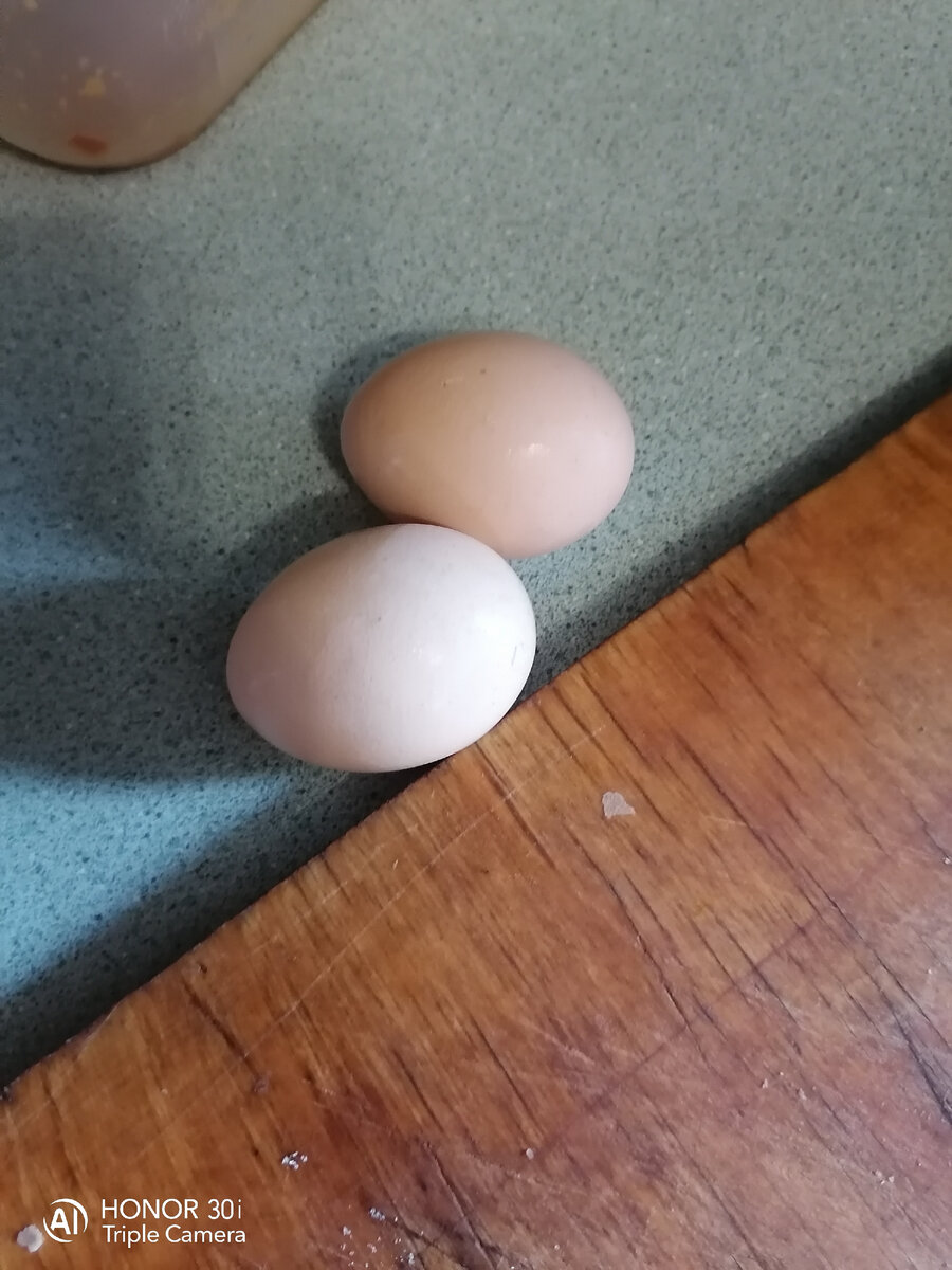 2 куриных яйца 