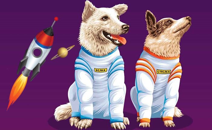 Изображение Яндекс Картинки.