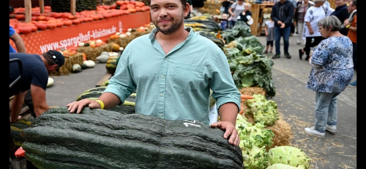 Маркус Шлэфке вырастил победителя в категории "цукини". Вес - более 56