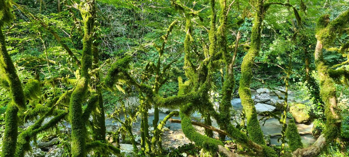 "Дети - это цветы жизни, которые рождаются головками вниз,"- считал автор "Маленького принца"  Антуан де Сент - Экзюпери. Трогательно, но и мешает понять, кого  растишь заботливыми руками.  Стебель тонкий, нежный и вот уже цепко обвил родителя. Бутон появился. Цветочек аленький! А дитя, глядишь и обернулось, ядовитым плющом.