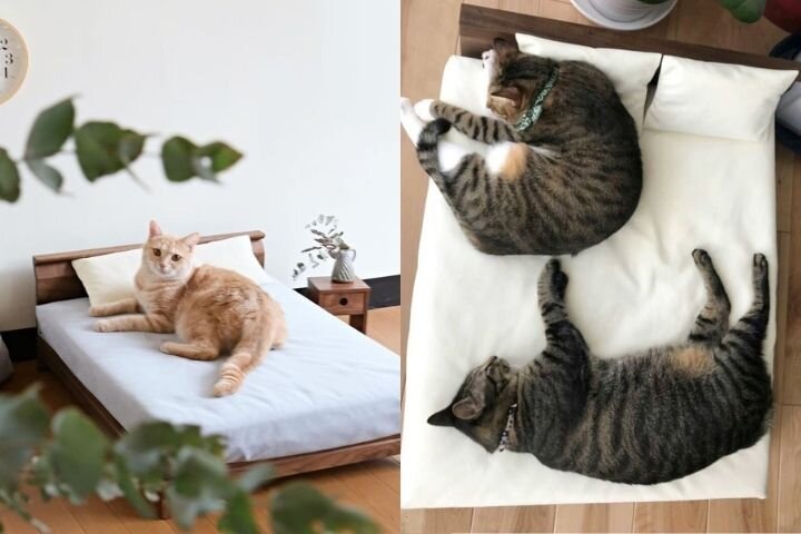 Кровати для котов с подушками и постельным бельем