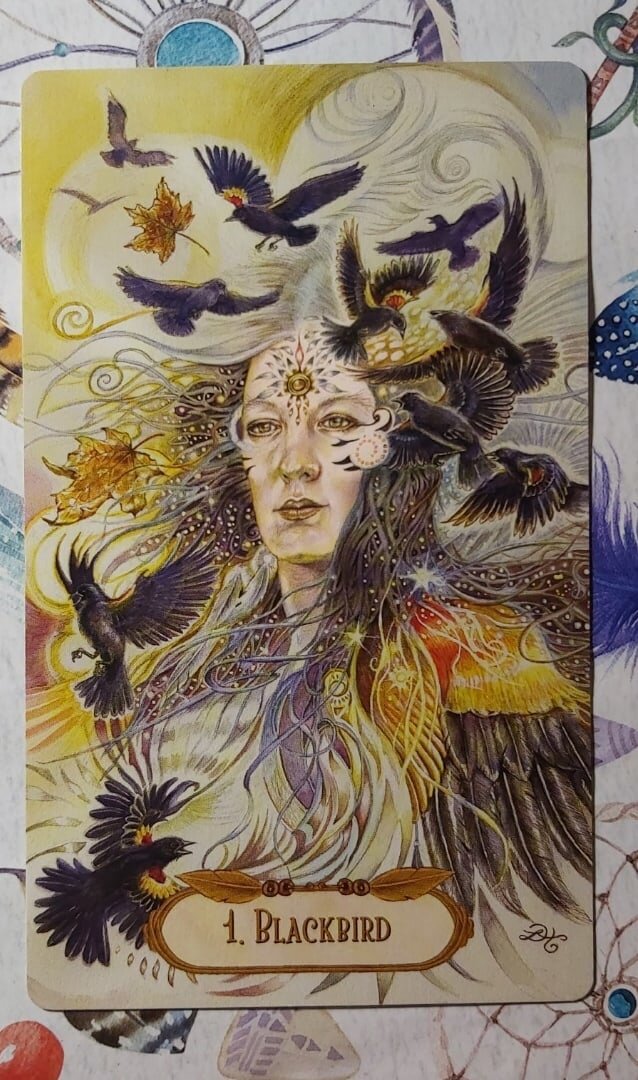 Мир оракула. Winged Enchantment Oracle Cards. The Winged Enchantment Oracle галерея. Winged Enchanted Oracle Deck. Карта оракул девушка с птицей