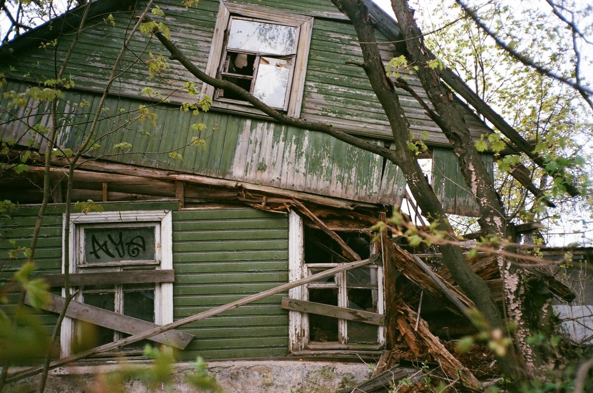 Фото с сайта pexels.com 