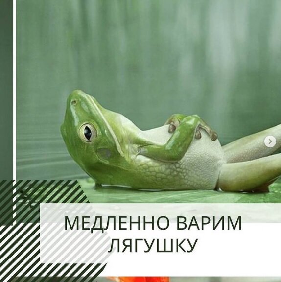 Вареная лягушка. Медленно варим. Медленно варим. Варка зерна. Медленно варим.