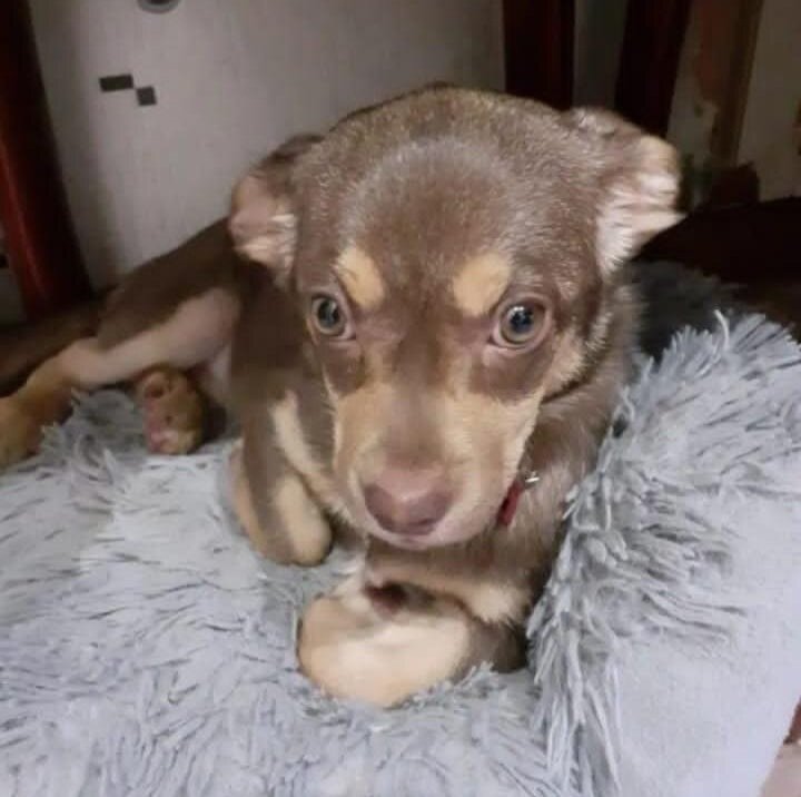 Просто стала не нужной