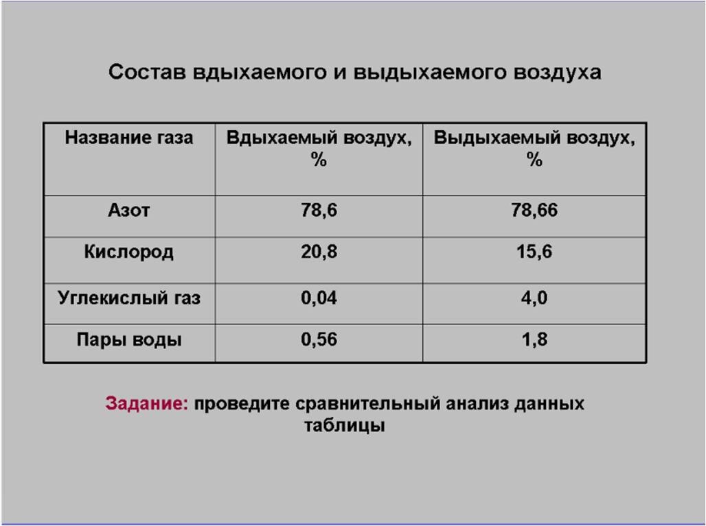 Как работают легкие?