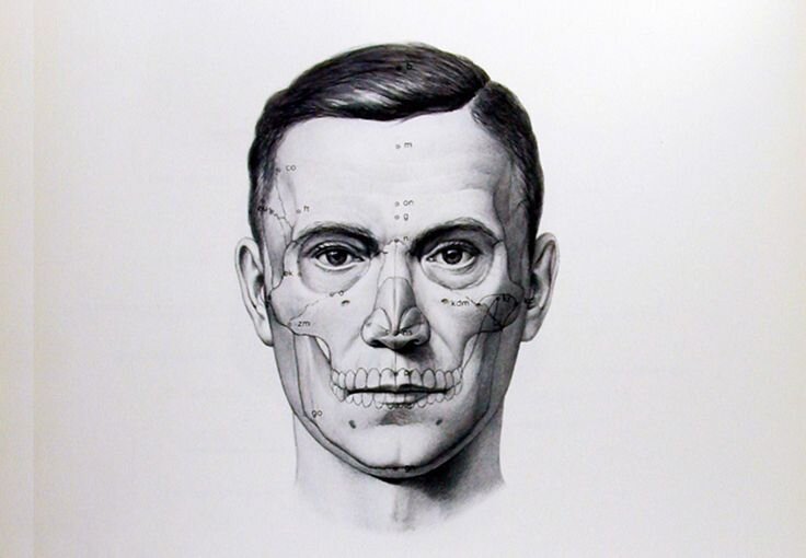 Фото: pinterest / Рисунок из книги