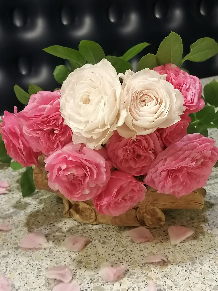 Розы фото автора.