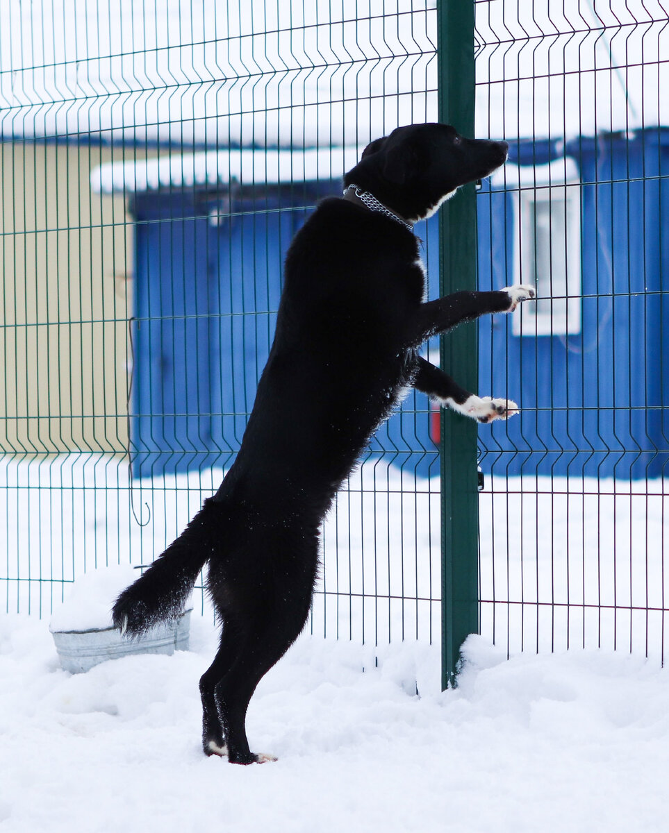 Если есть Зачем жить, можно вынести почти любое Как.