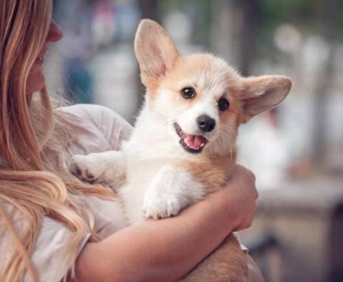 Пониженное артериальное давление