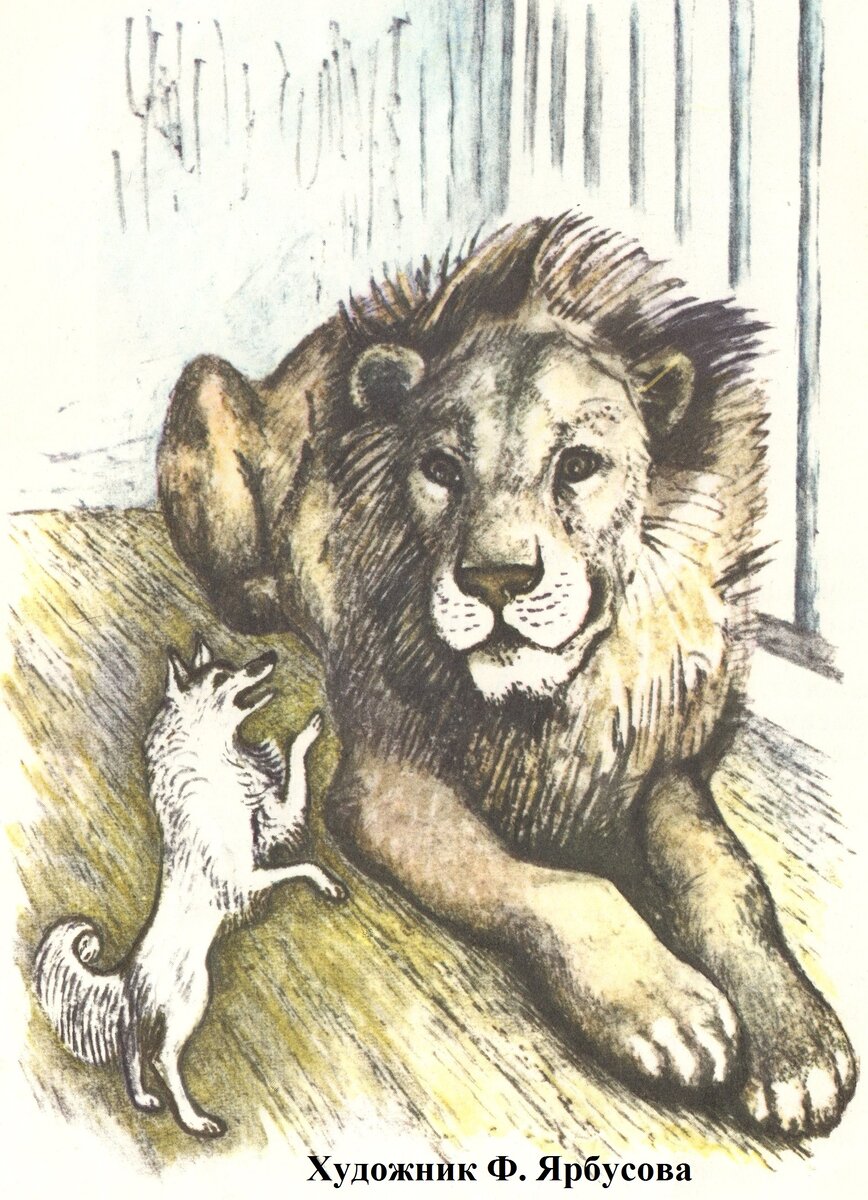 В каких произведениях есть лев. Толстой л.н. "Лев и собачка". Быль л н Толстого Лев и собачка. Иллюстрация л. н. толстой (Лев и собачка). Лев и собачка иллюстрации.