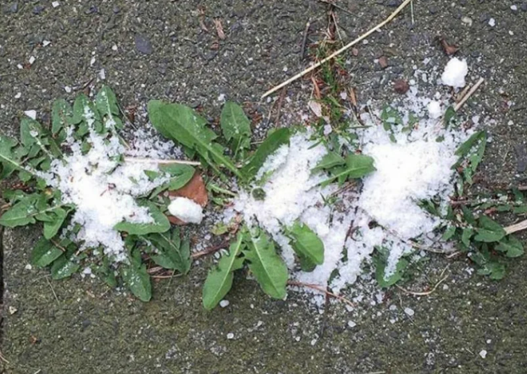 Фотография взята из источника ya-fab.ru