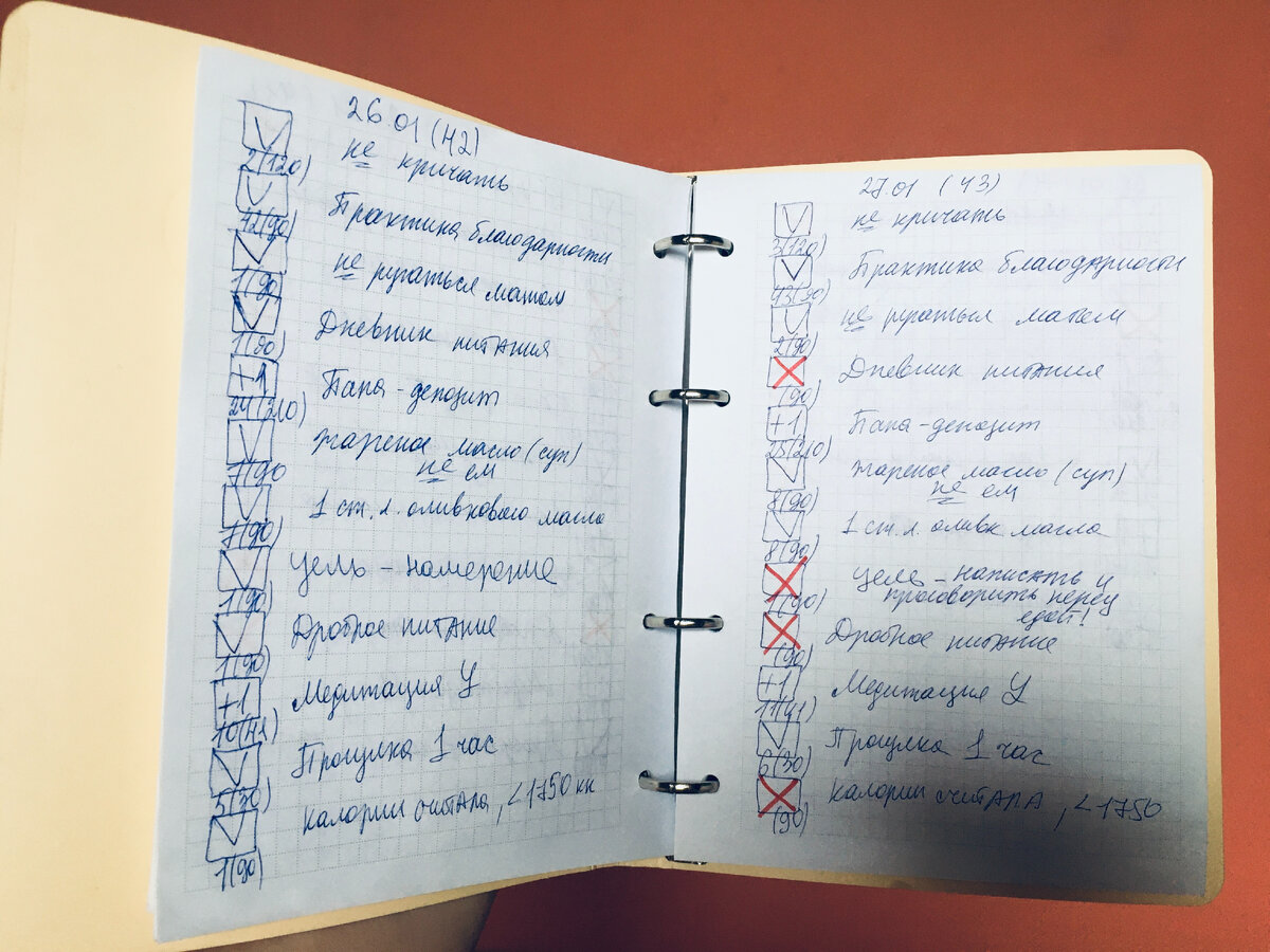 «+» и «V» означают, что аскеза в этот день выполнена, если красный крестик — я сбилась, и тогда НАЧИНАТЬ ВСЁ СНАЧАЛА. Под квадратиком числа: день аскезы, в скобках — сколько всего дней я её буду держать
