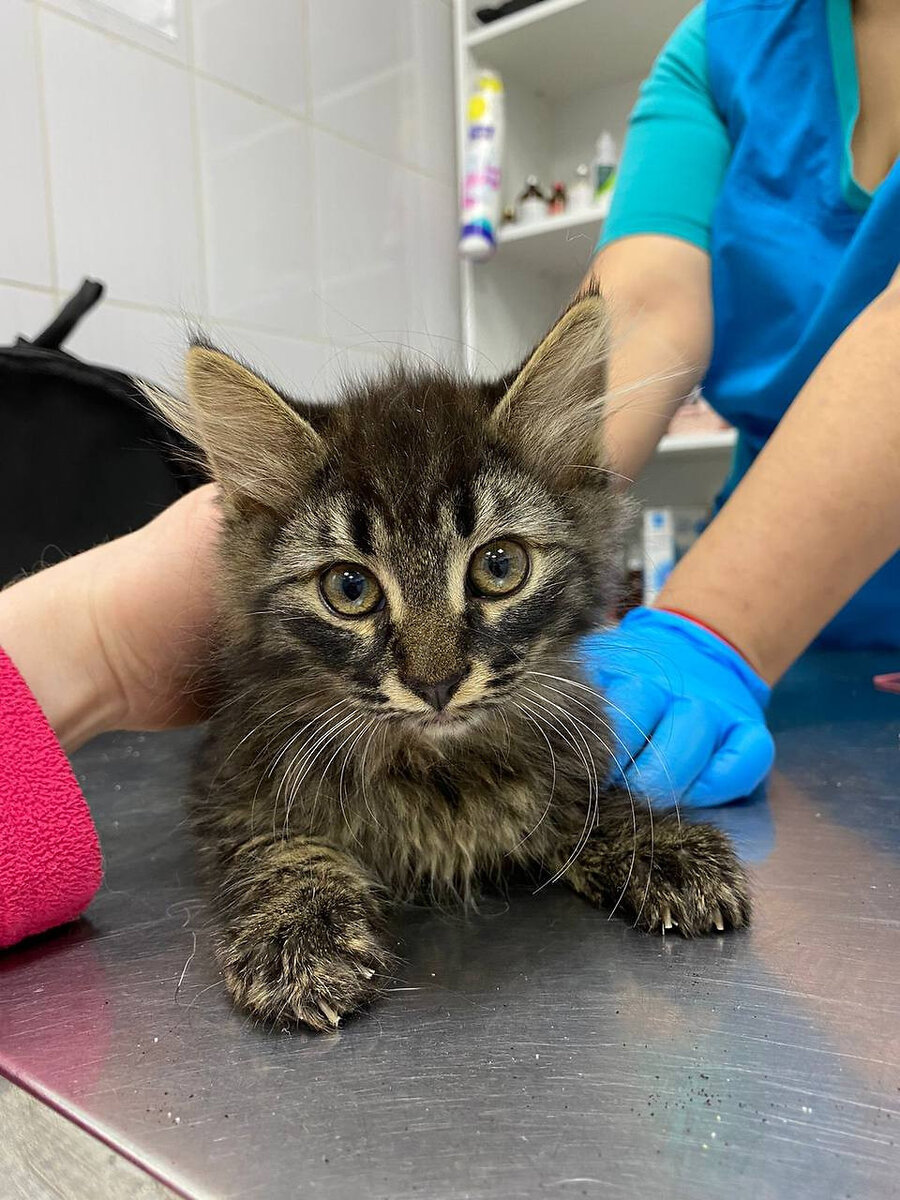 Автор фото: Мария Яшина