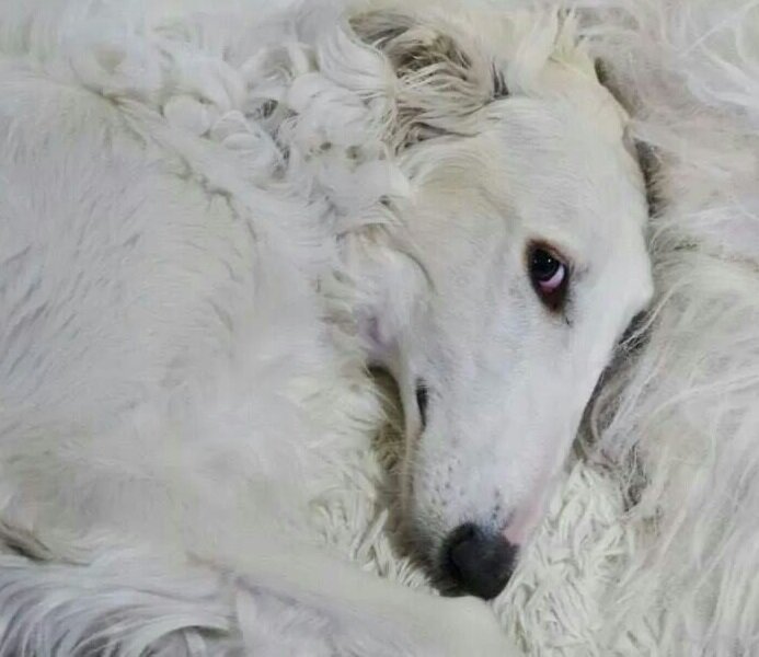 С кем по жизни мне идти придётся, с кем, когда закончу путь Земной. Лишь гадать мне только остаётся и желать, чтоб был он неплохой...