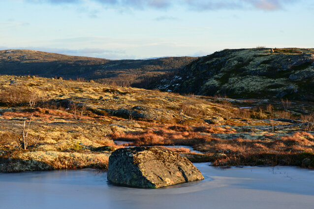 Лапландская тундра. Ноябрь Фото: Михаил Пустовой