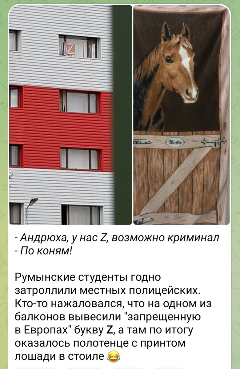 Ни дня без удивлений: 13.04 - раздевания эстонок у посольства, Мальдивы не  рады русским и голубь сходил на Байдена | Тоня Витушkинa | Дзен