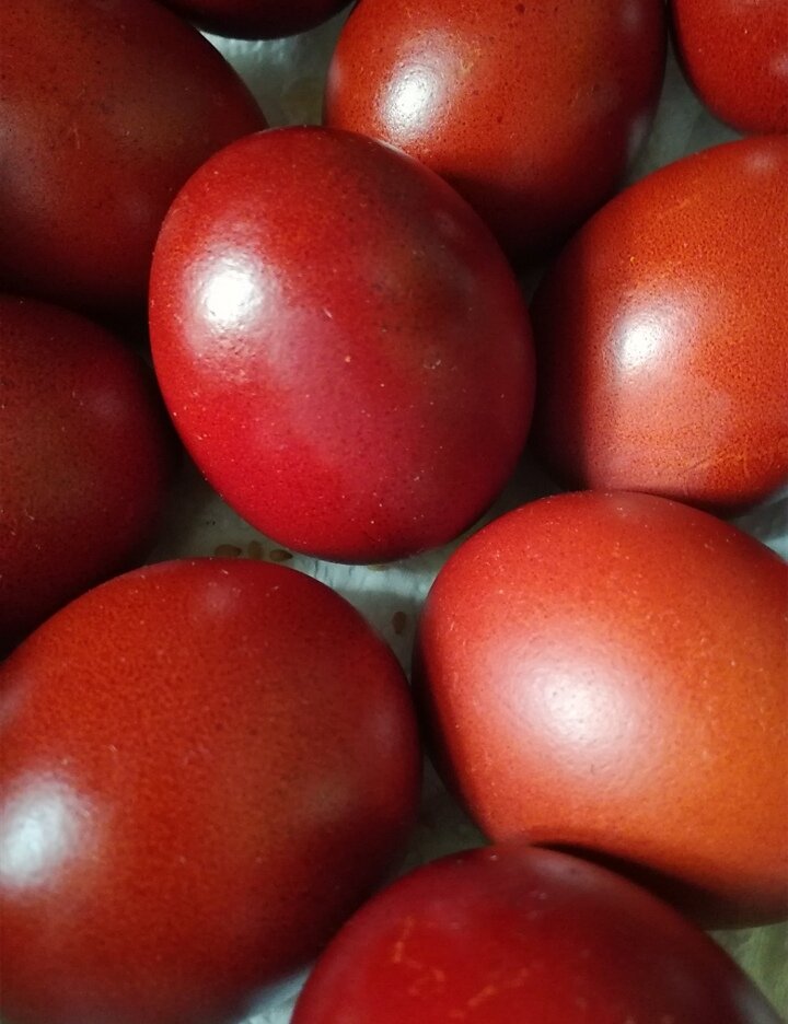 ФОТО ПРИНАДЛЕЖИТ АВТОРУ КАНАЛА