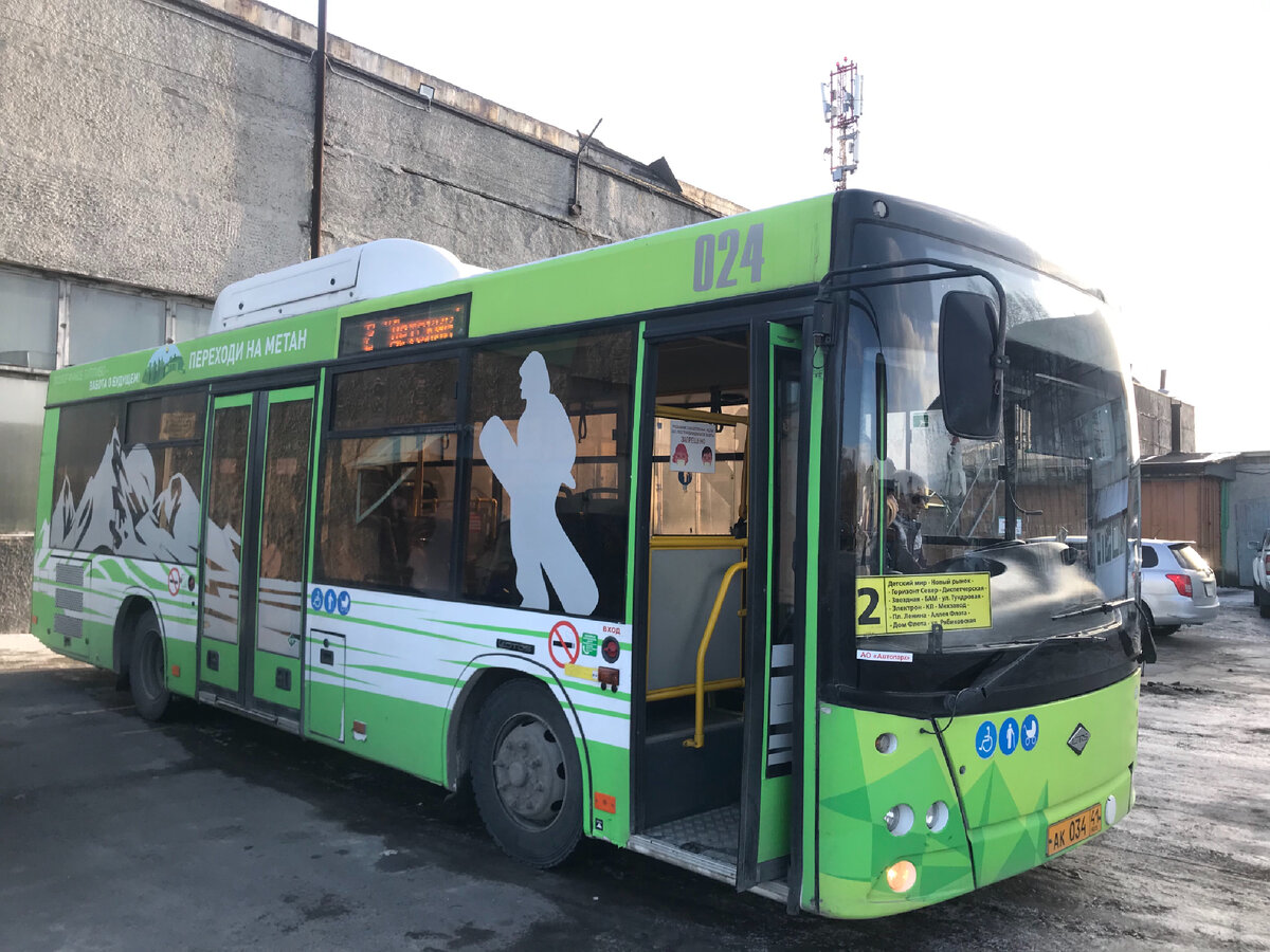 Ходят по Петропавловску-Камчатскому 