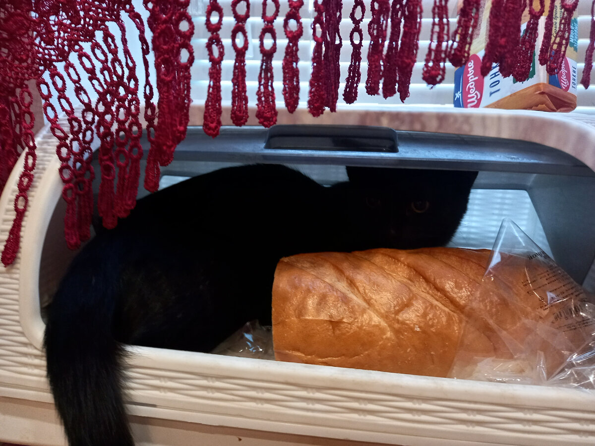 Если вовремя не покормили)))