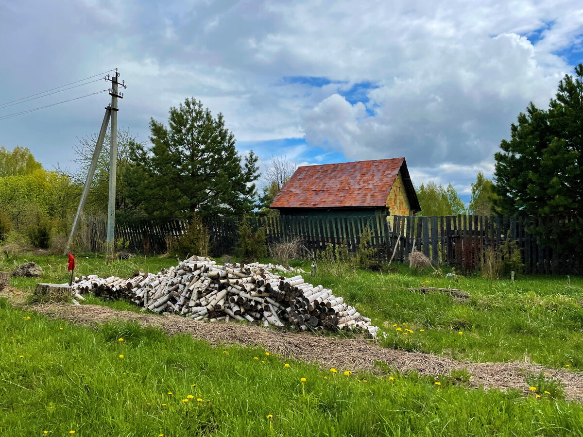 Пенсионеры, да дачники. Как проходит жизнь в обособленной горномарийской  деревушке Копань, что рядом с рекой Волгой | Под зонтиком | Дзен