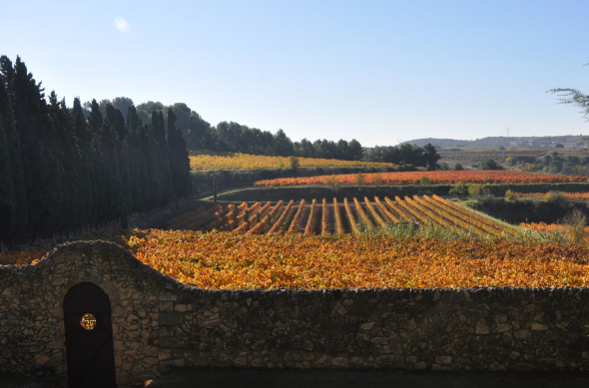 С 1903 года семья виноделов Альбет и Нойа живет в поместье Кан Вендель, региона Пенедес (Каталония)