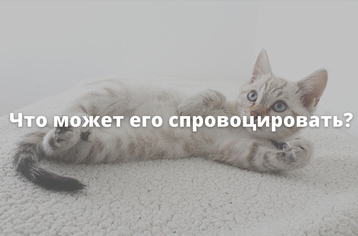 Чаще всего аллергический насморк вызывают 3 вида аллергенов [7]: 