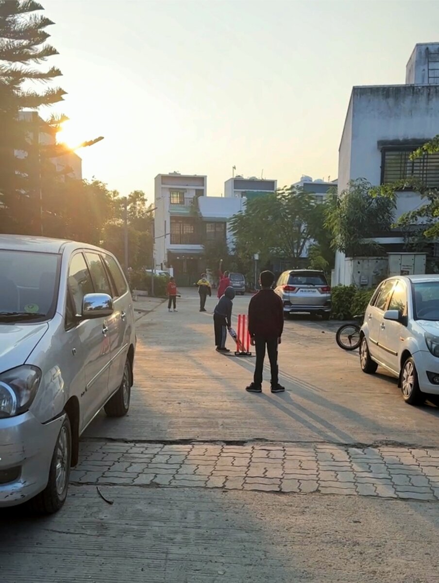 Дети играют в крикет 