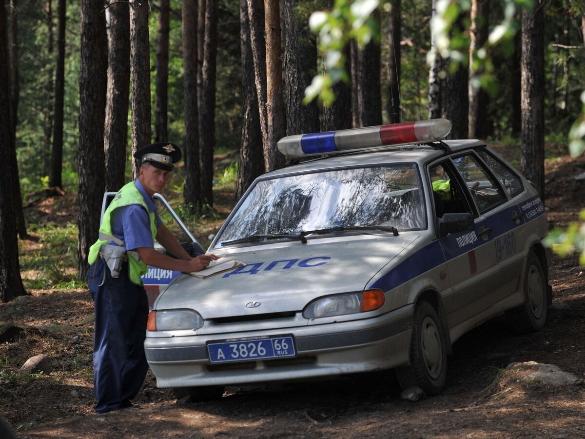 фото https://cdnn1.img.sputnik.tj/