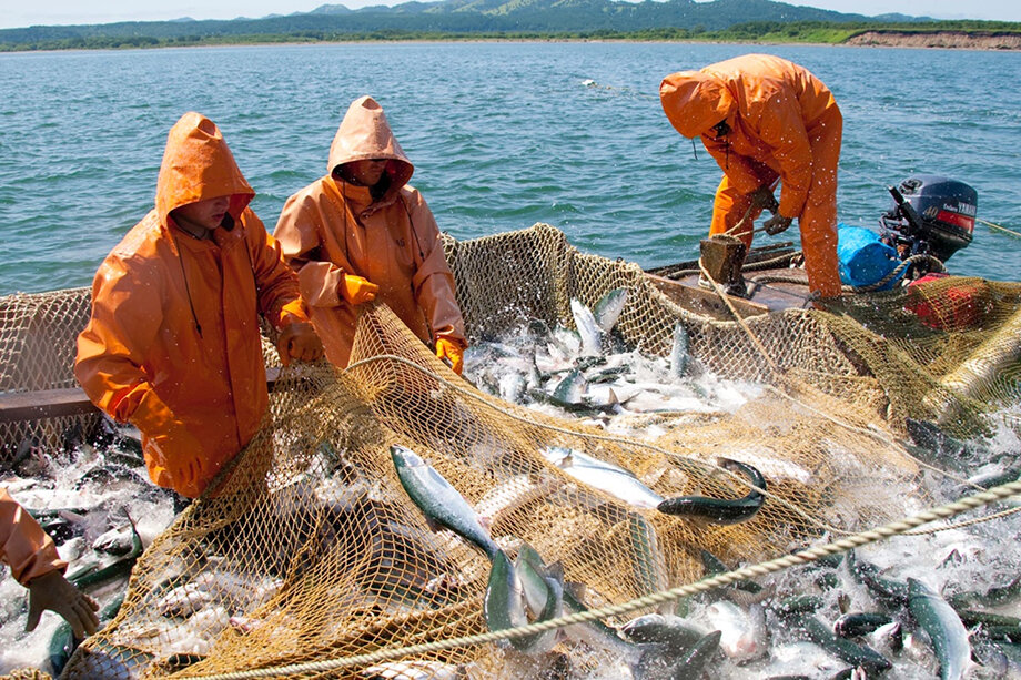 Фото: группа «Росрыболовство» в соцсети «ВКонтакте»