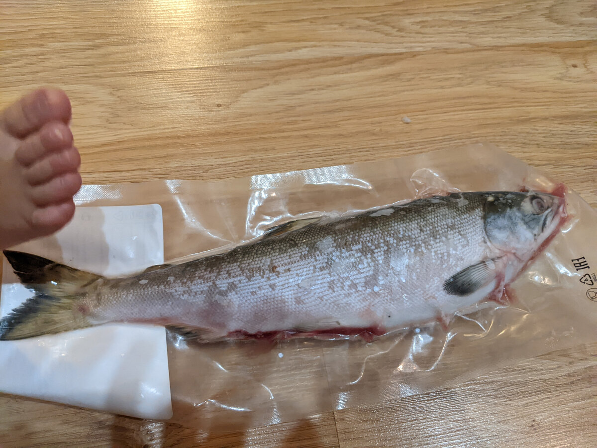 Нерка как живая!