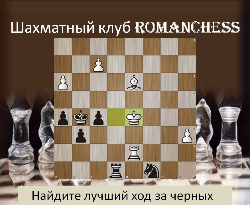 Шахматные задачи проект