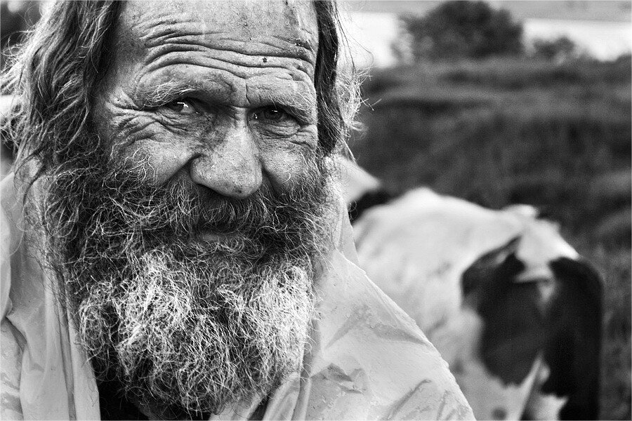 фото из открытых источников Яндекса