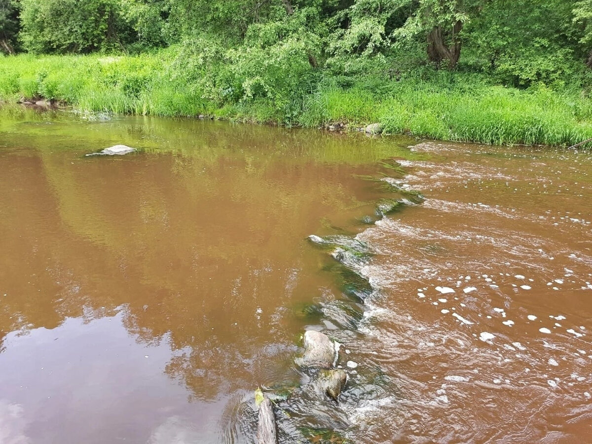 ленобласть реки