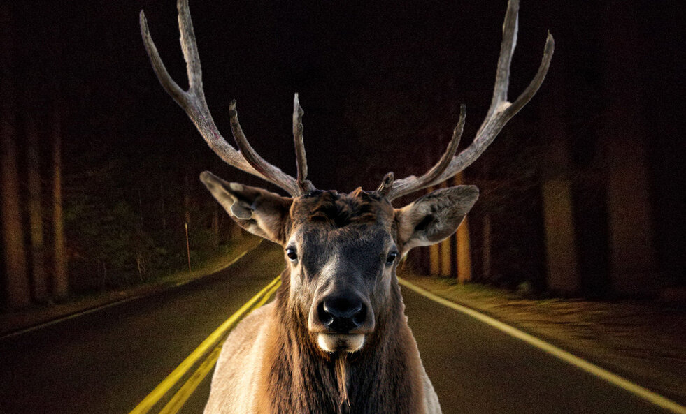 Из интернета.