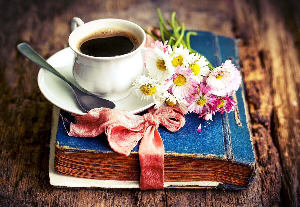 Изображение взято из открытых источников.