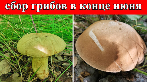 Что будет в конце июня