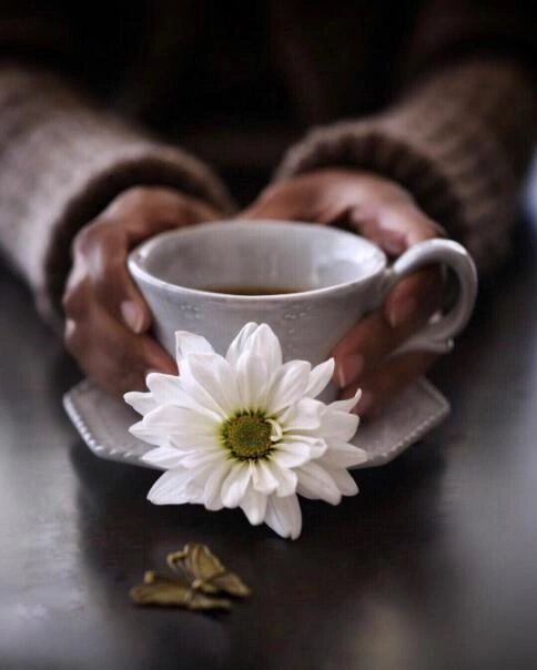 Свежие фотографии закончились, пришлось вставить вот это