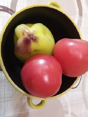 Фотография из личного архива автора