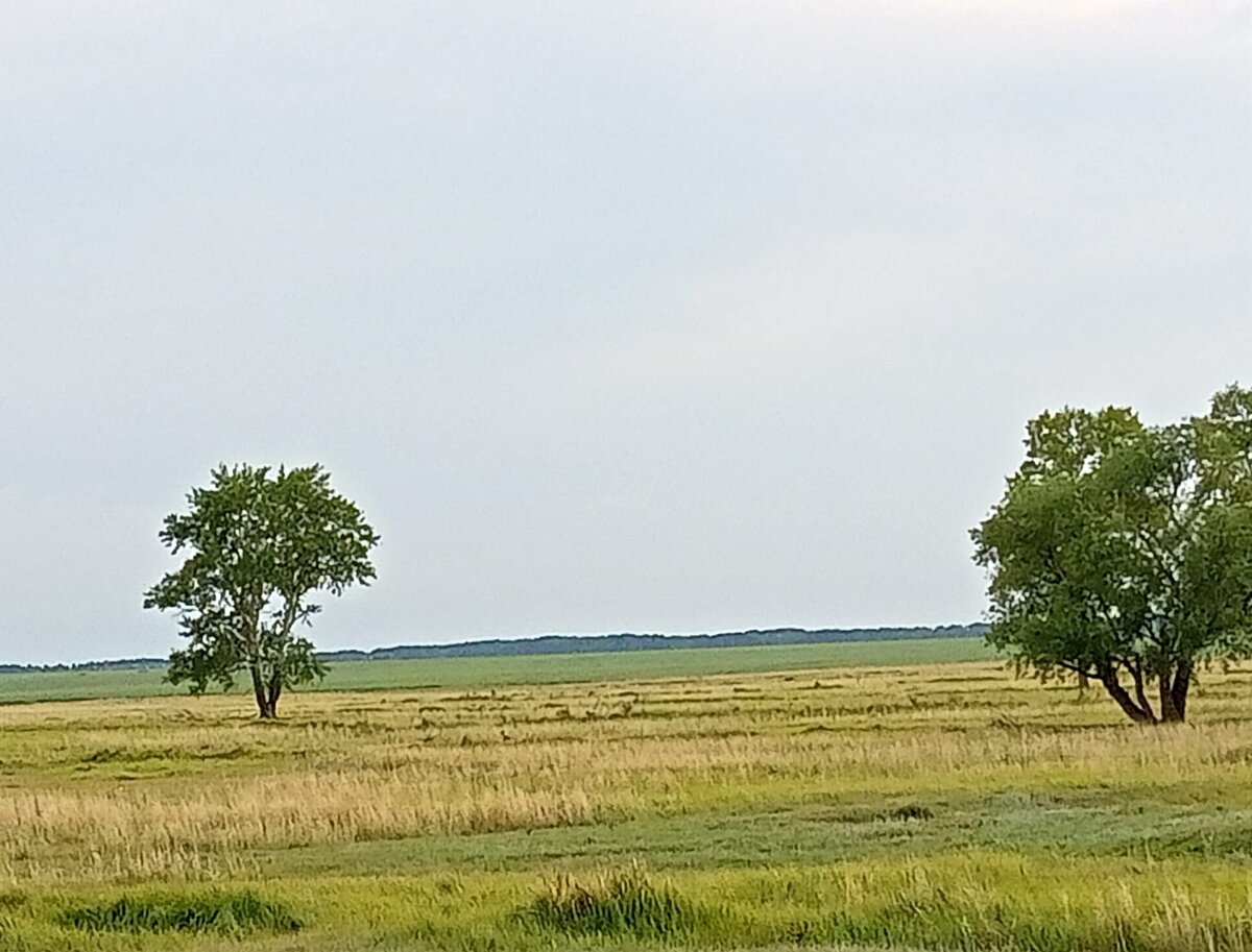 Деревенька моя. фото автора