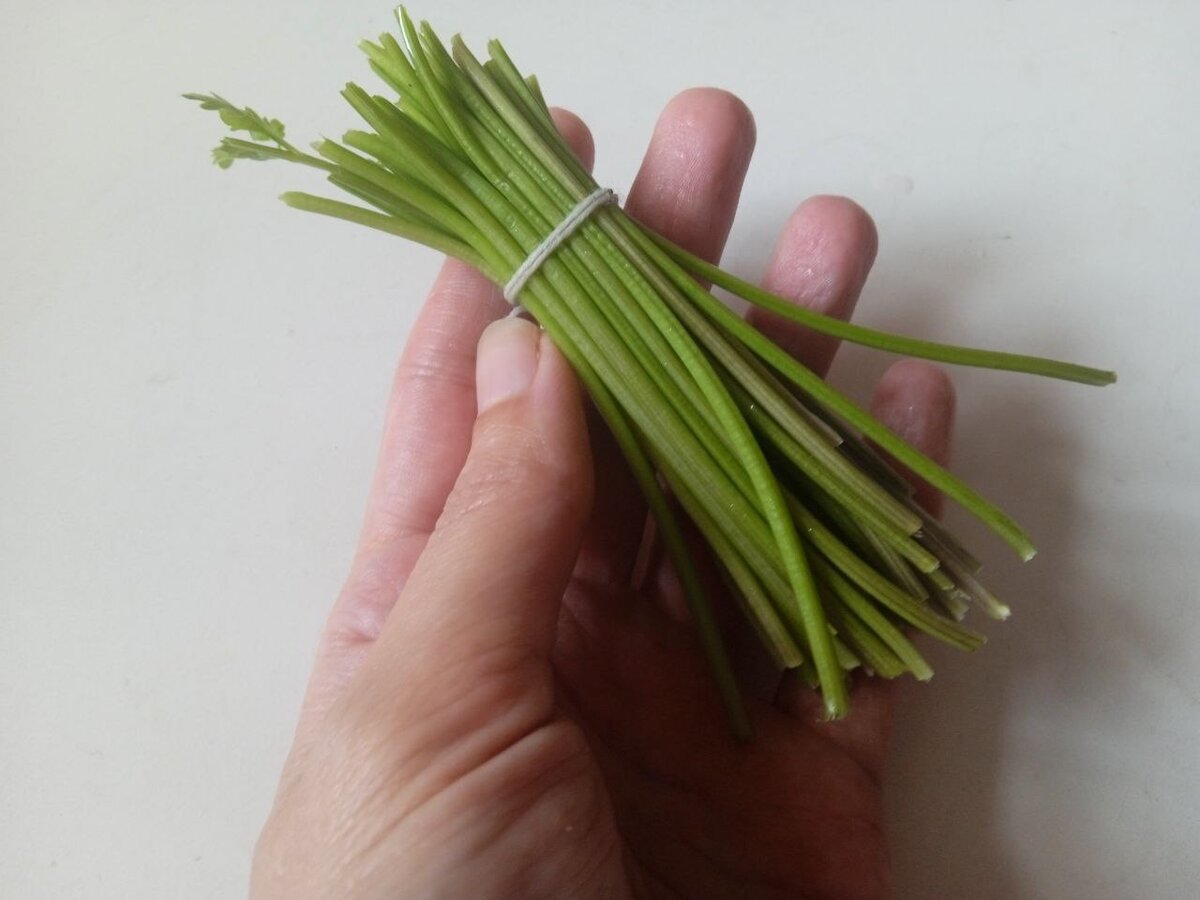 Такую связку смело отправляйте в суп или бульон, а после варки не забудьте ее выкинуть 