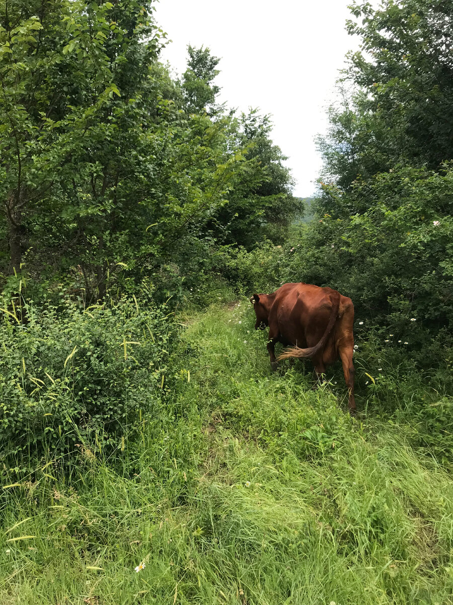 Фото автора.