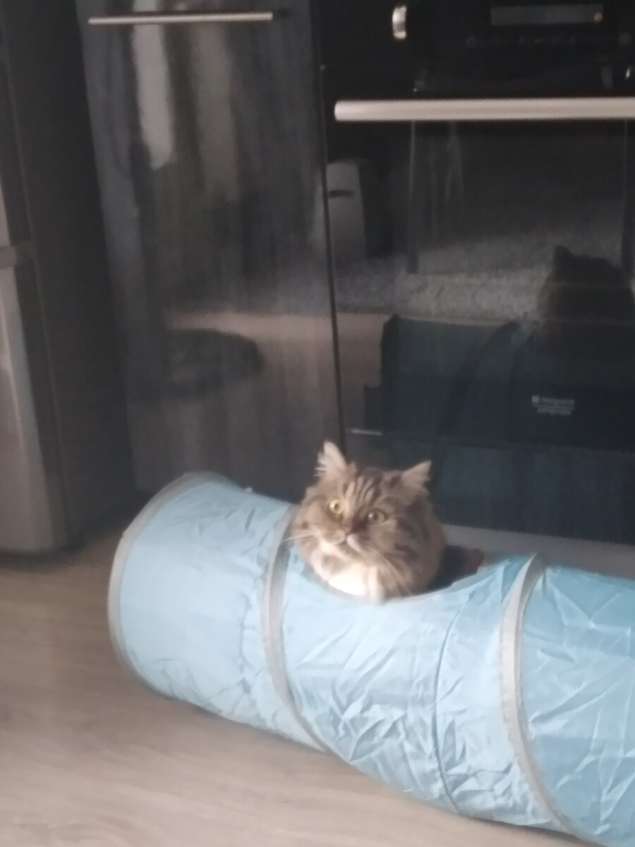 КОТировки, всплываем!